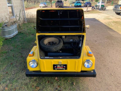 1973 Volkswagen Thing