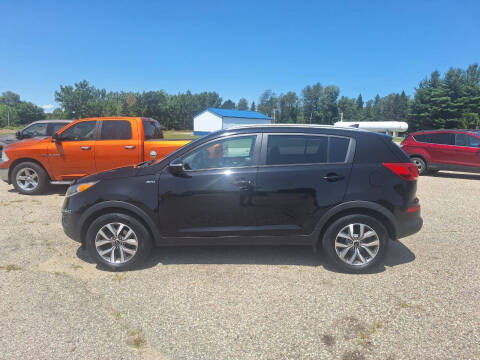 2014 Kia Sportage for sale at Steve Winnie Auto Sales in Edmore MI