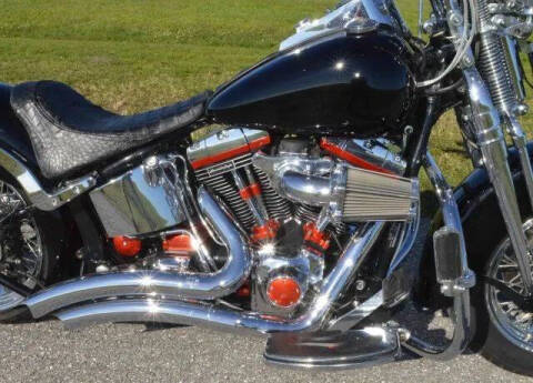 2002 Harley-Davidson FLSTS Heritage Springer