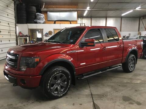 2013 Ford F-150 for sale at T James Motorsports in Gibsonia PA