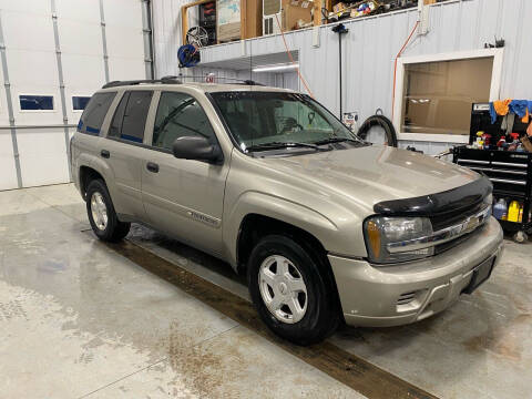 2002 Chevrolet TrailBlazer for sale at RDJ Auto Sales in Kerkhoven MN
