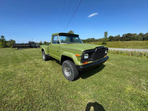 1980 Jeep J-10