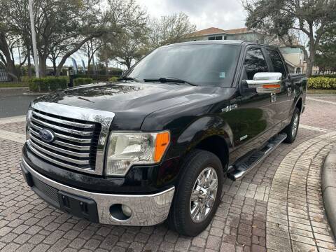 2011 Ford F-150 for sale at Renown Automotive in Saint Petersburg FL