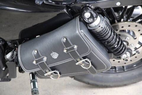 2022 Harley-Davidson Sportster