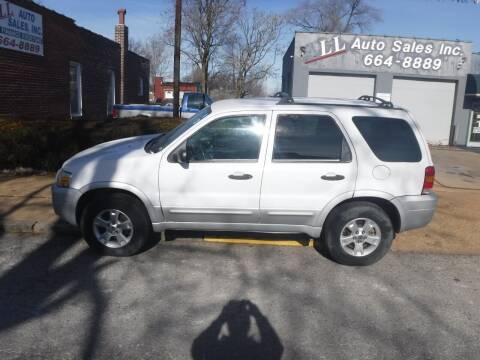 2007 Ford Escape for sale at ALL Auto Sales Inc in Saint Louis MO