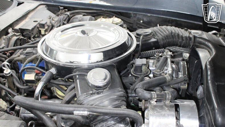 1981 Chevrolet Corvette