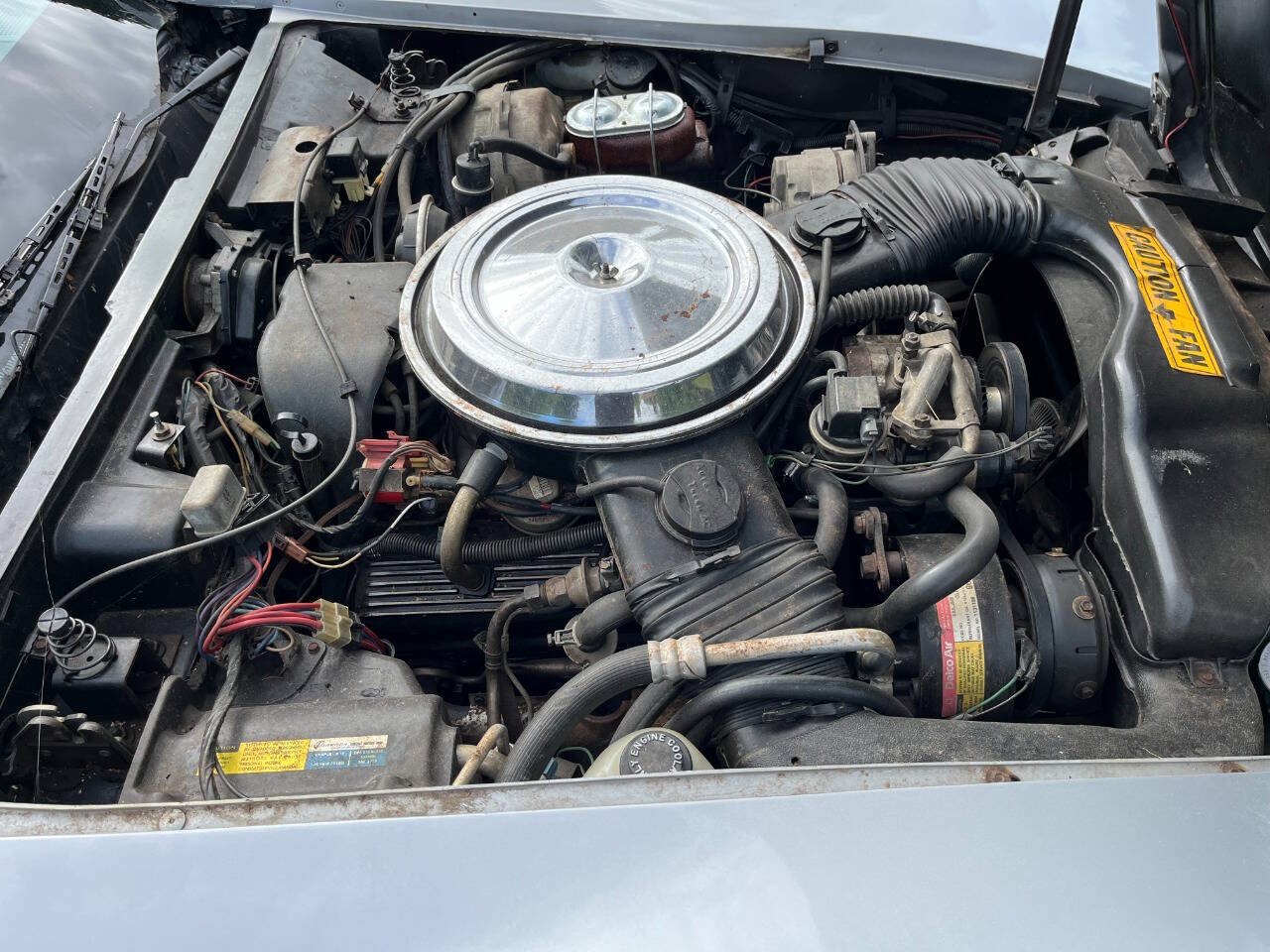 1981 Chevrolet Corvette 15