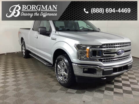 2019 Ford F-150 for sale at BORGMAN OF HOLLAND LLC in Holland MI