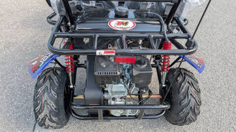 2026 TrailMaster Blazer 200R