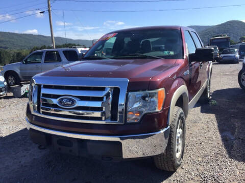 2010 Ford F-150 for sale at Troy's Auto Sales in Dornsife PA