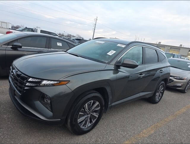 2024 Hyundai Tucson Hybrid Blue