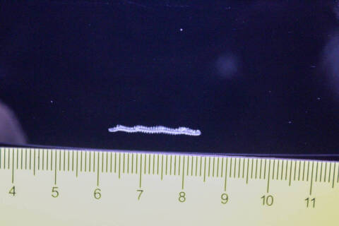 2003 Ford Mustang GT Deluxe