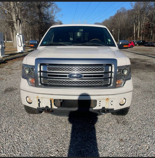 2013 Ford F-150 Platinum photo 9