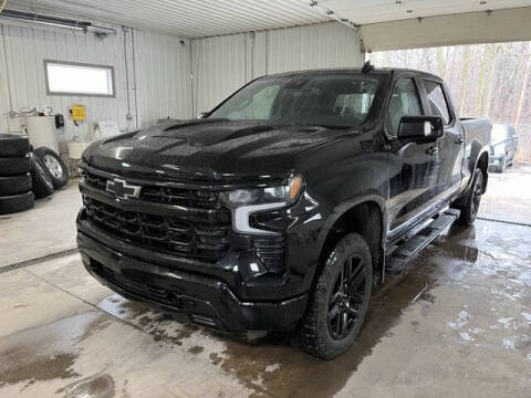 2023 Chevrolet Silverado 1500 for sale at Monster Motors in Michigan Center MI