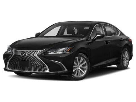 2021 Lexus ES 350 for sale at Walker Jones Automotive Superstore in Waycross GA