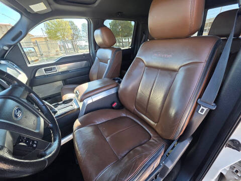 2013 Ford F-150 Platinum