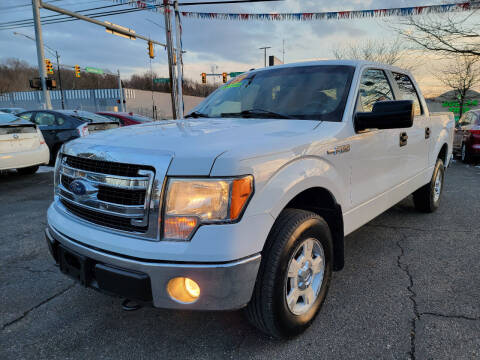 2013 Ford F-150 for sale at Cedar Auto Group LLC in Akron OH