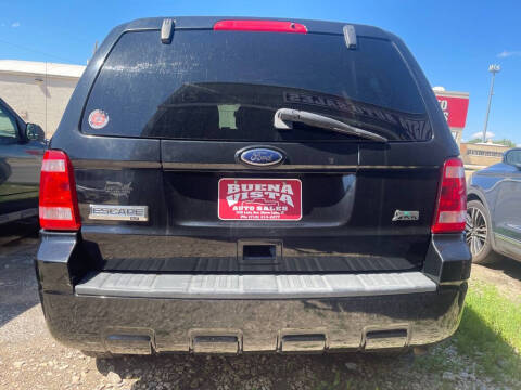 2010 Ford Escape XLT