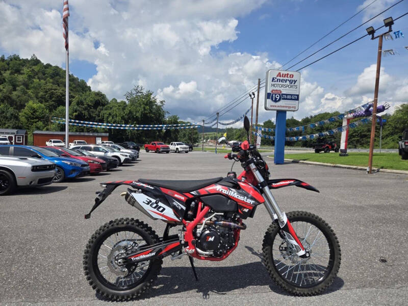 2024 TrailMaster TM 38EX-300