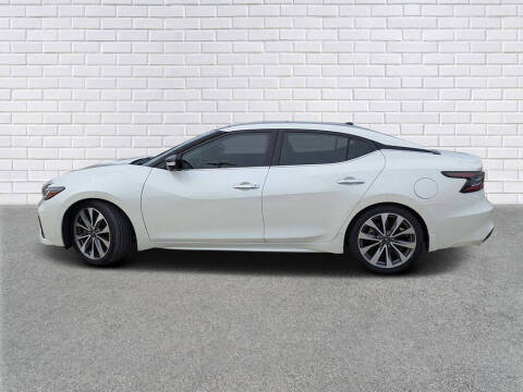 2023 Nissan Maxima 3.5 Platinum