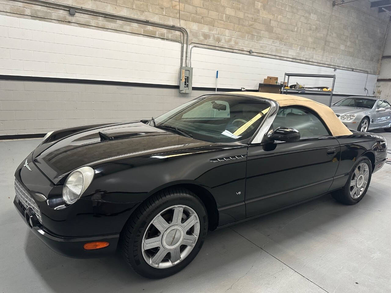 2004 Ford Thunderbird for sale at EUROPEAN MOTORCARS OF TAMPA in Tampa, FL