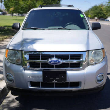 2010 Ford Escape XLT