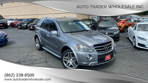 2011 Mercedes-Benz M-Class for sale at Auto Trader Wholesale Inc in Saddle Brook NJ