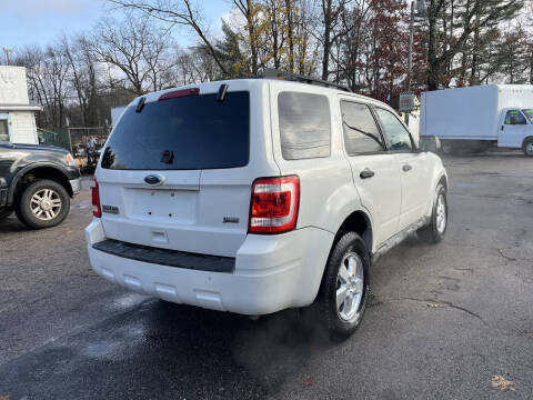 2010 Ford Escape XLT