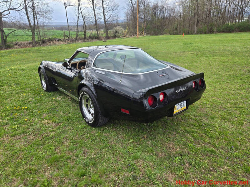 1981 Chevrolet Corvette