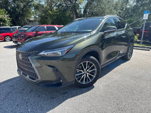 2025 Lexus NX 250