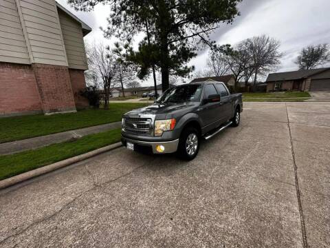 2013 Ford F-150 for sale at Demetry Automotive in Houston TX