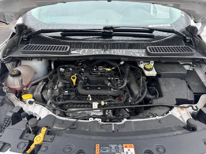 2019 Ford Escape SE