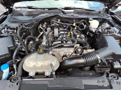 2023 Ford Mustang EcoBoost