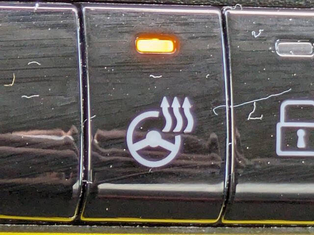 2024 RAM ProMaster EV Delivery