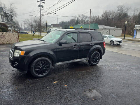 2011 Ford Escape for sale at Maximum Auto Group II INC in Cortland OH