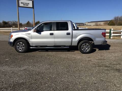 2010 Ford F-150 for sale at Truck World in Augusta KS