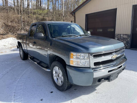 2009 Chevrolet Silverado 1500