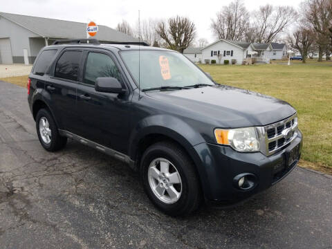 2009 Ford Escape for sale at CALDERONE CAR & TRUCK in Whiteland IN