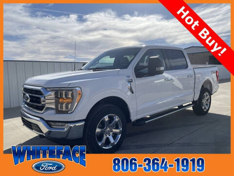 2022 Ford F-150 for sale at Whiteface Ford in Hereford TX