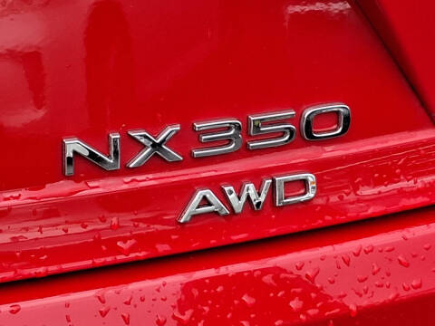 2024 Lexus NX 350 Premium