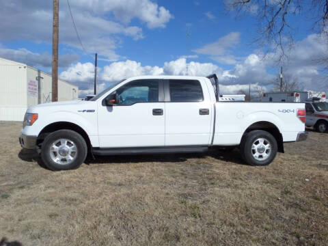 2011 Ford F-150 for sale at AUTO FLEET REMARKETING, INC. in Van Alstyne TX