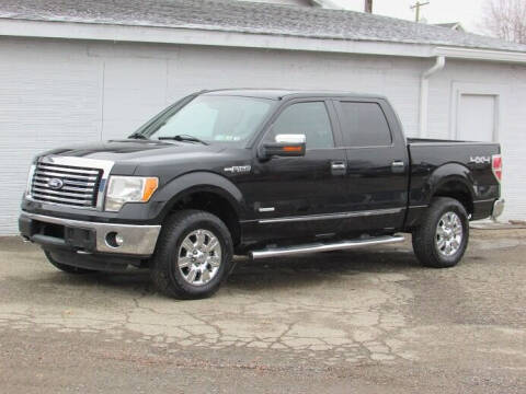 2011 Ford F-150 for sale at Minerva Motors LLC in Minerva OH