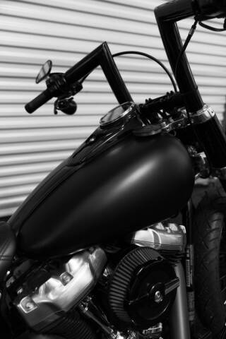 2018 Harley-Davidson FLSL