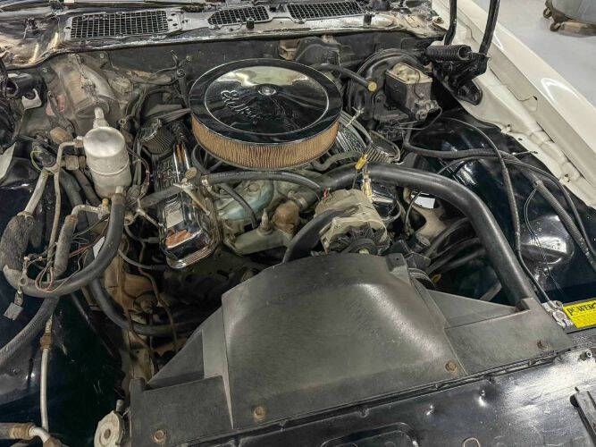 1977 Pontiac Firebird