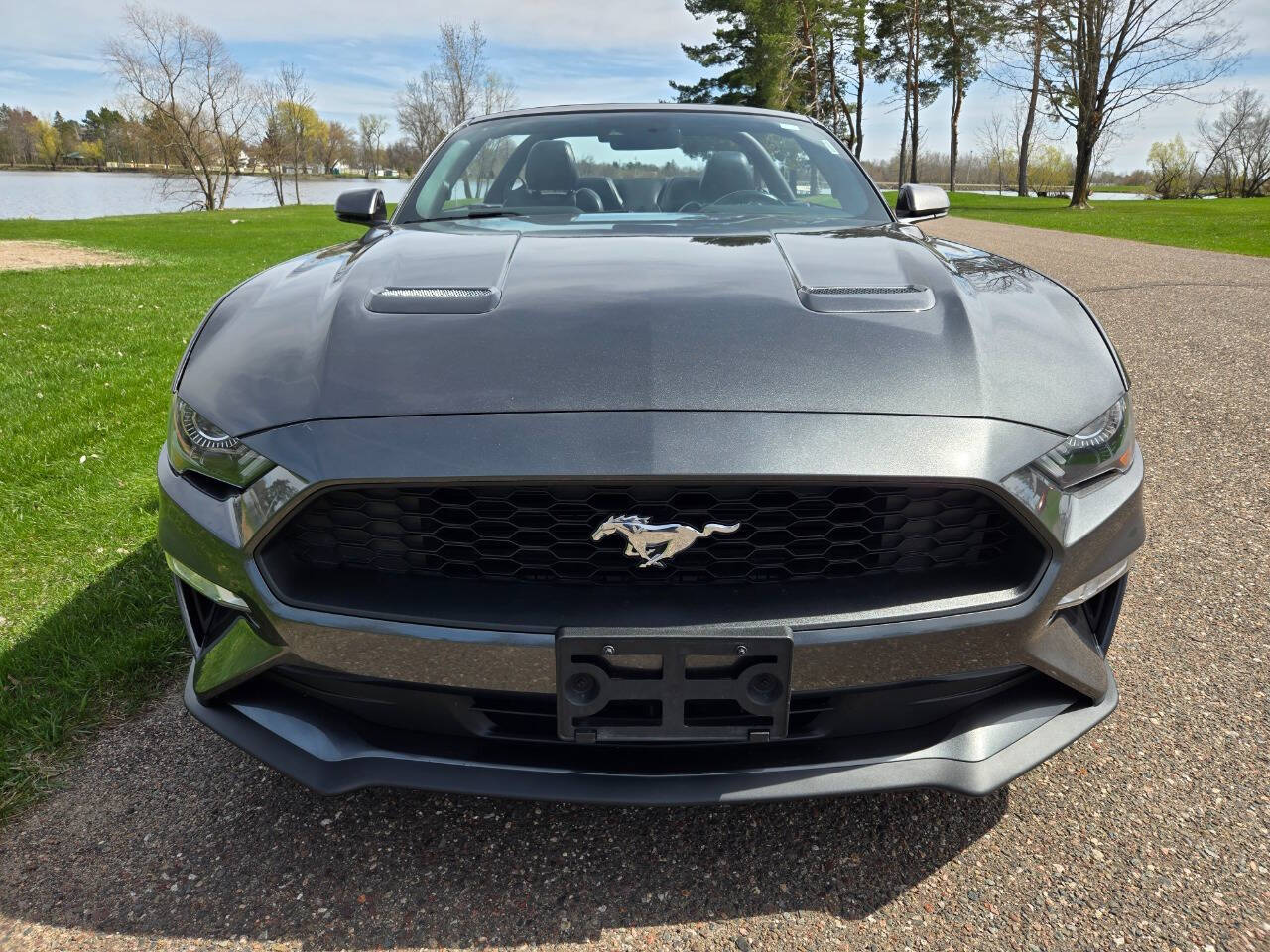 2019 Ford Mustang 20