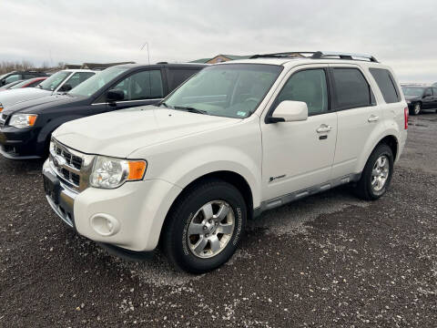 2009 Ford Escape Hybrid for sale at Steves Auto Sales in Steele MO