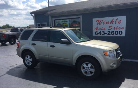 2010 Ford Escape for sale at Winkle Auto Sales LLC in Anderson IN