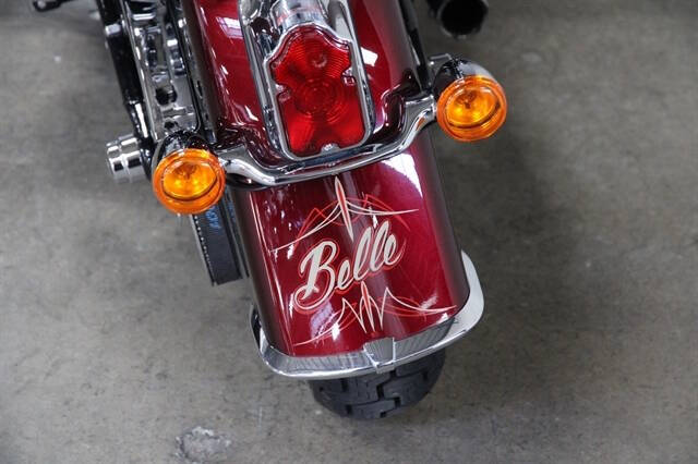 2015 Harley-Davidson SOFTAIL DE