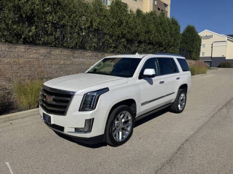 2017 Cadillac Escalade for sale at World Class Motors LLC in Noblesville IN