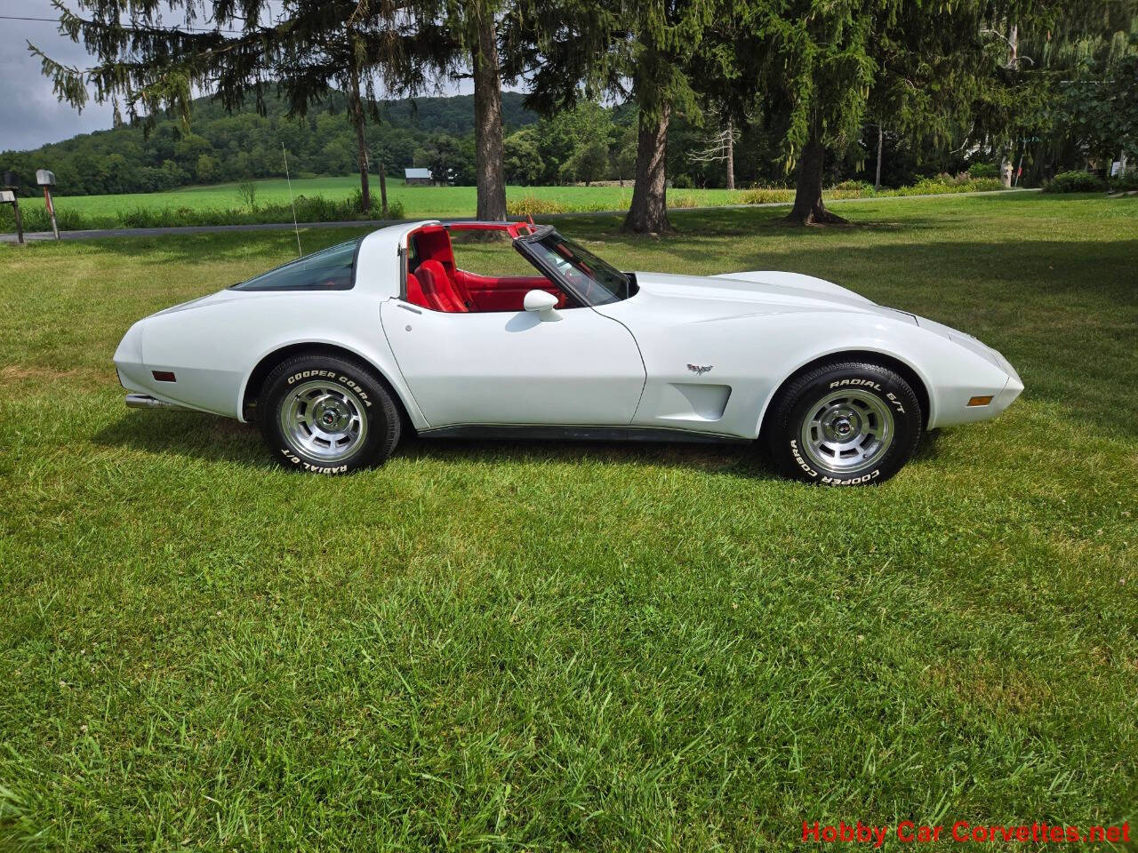 1979 Chevrolet Corvette 9